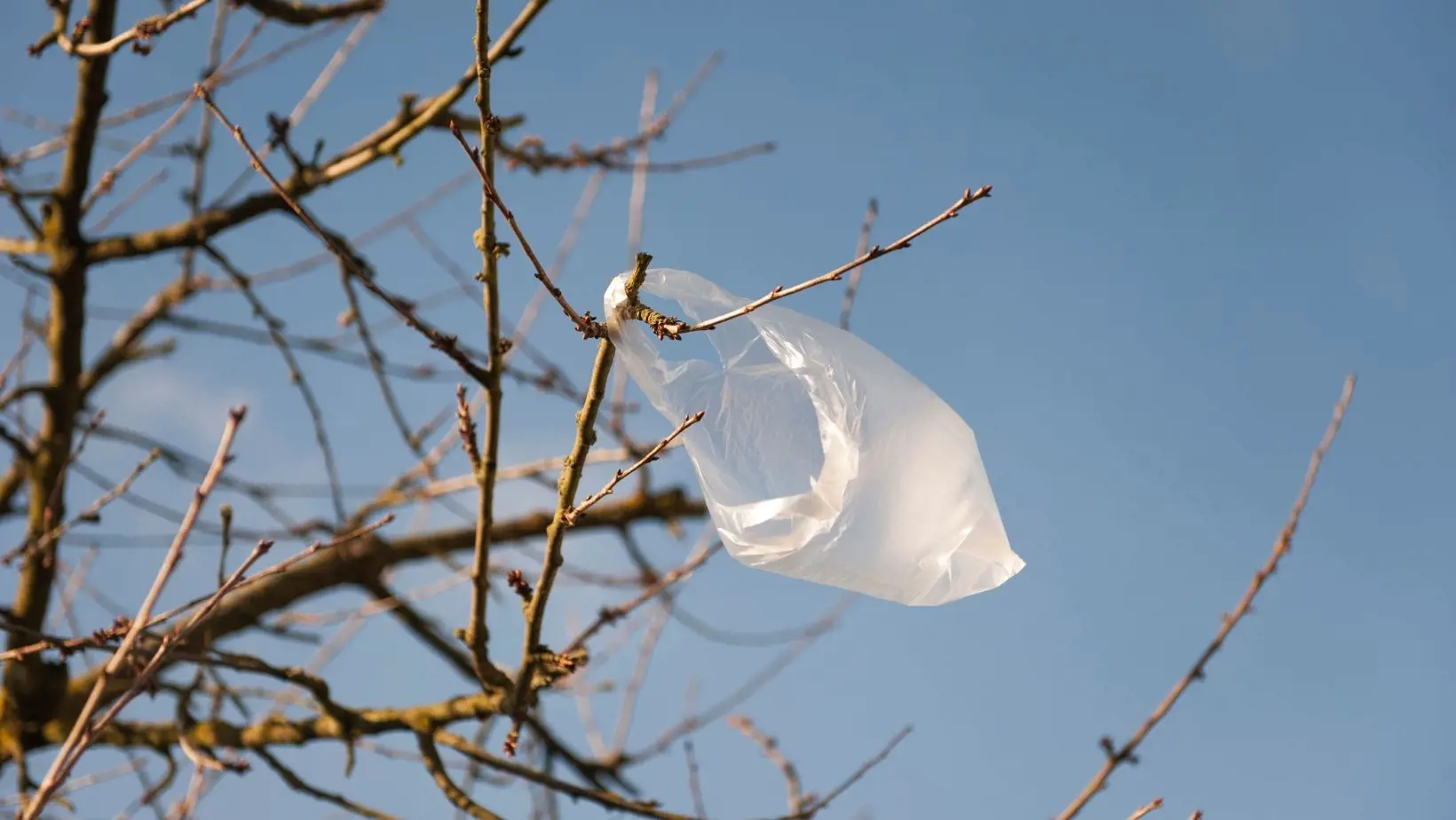 Poletujúce vrecúška a bločky pri predajni LIDL sú problémom