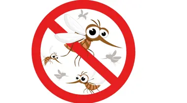 Prostriedok proti komárom si môžete vyzdvihnúť na Klientskom centre