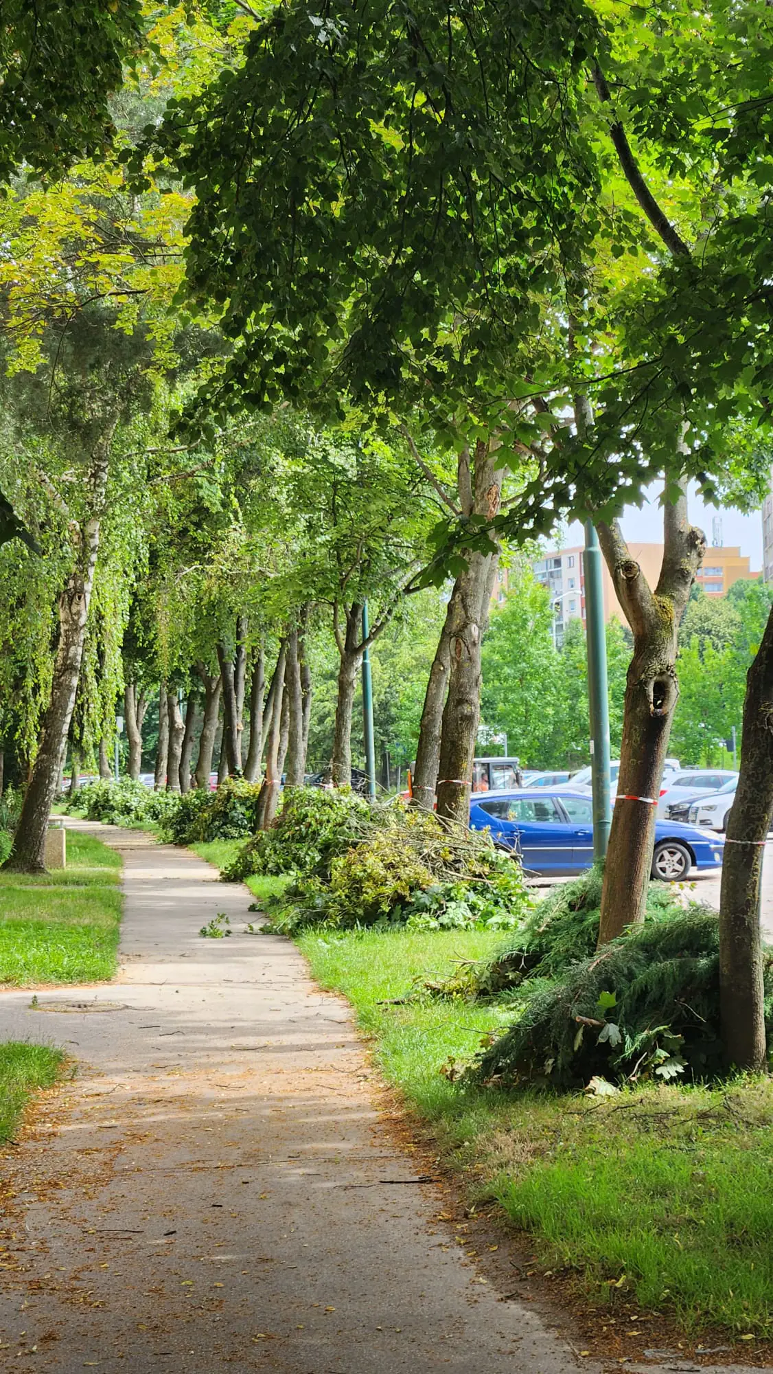 Radi by ste pred domom vysadili kvety? Dajte nám vedieť