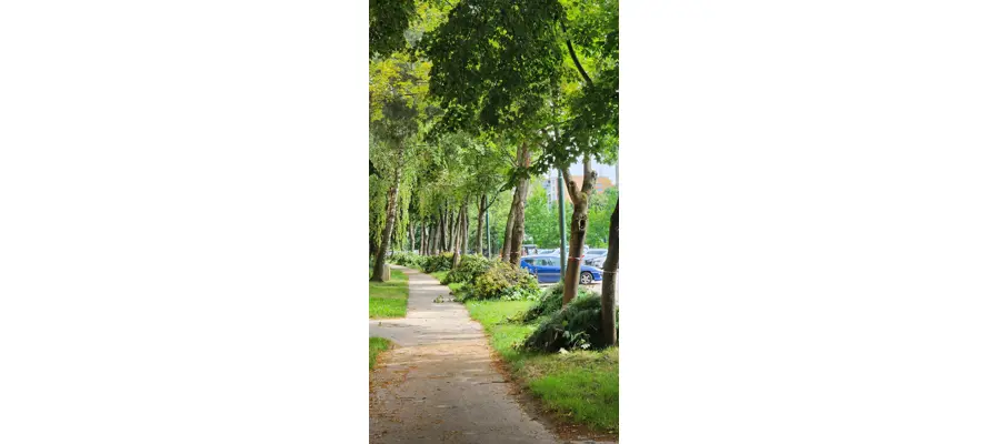 Radi by ste pred domom vysadili kvety? Dajte nám vedieť