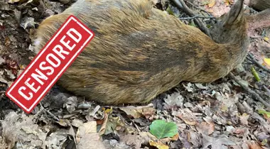 Bezpečnosť v Lamači: polícia je v teréne, pomôcť však môžu aj obyvatelia