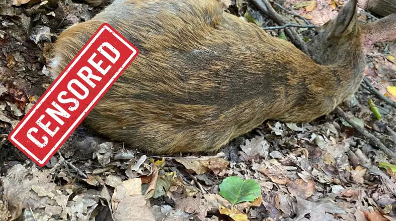 Bezpečnosť v Lamači: polícia je v teréne, pomôcť však môžu aj obyvatelia