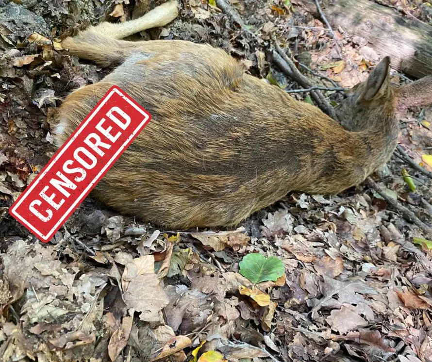 Bezpečnosť v Lamači: polícia je v teréne, pomôcť však môžu aj obyvatelia